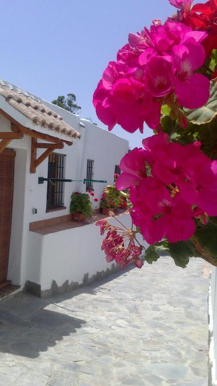 Casas El Molino Villa Vejer de la Frontera Phòng bức ảnh